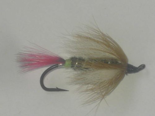 Butterfly peacock fly