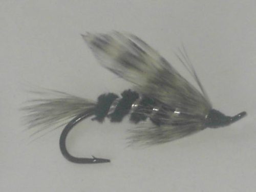 Silver Hilton fly