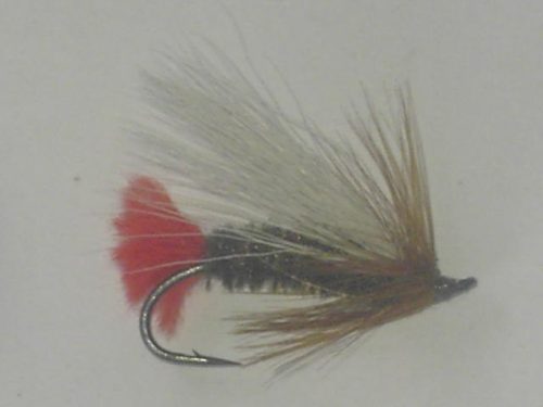 Skjerns Fancy Fly