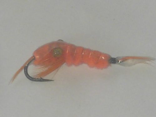 Squamish poacher fly