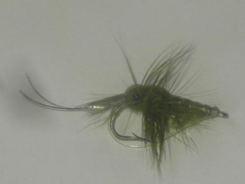 Shrimp Salt Olive Fly
