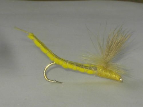 Hexagania limbata dun fly