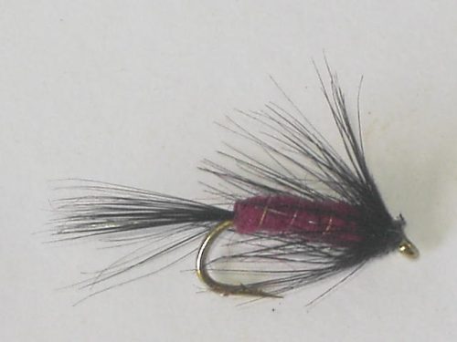Maroon Spider wet fly