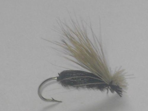 Black beetle dry fly