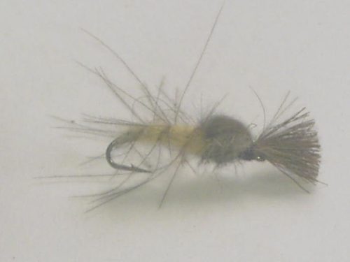 La Loue CDC fly