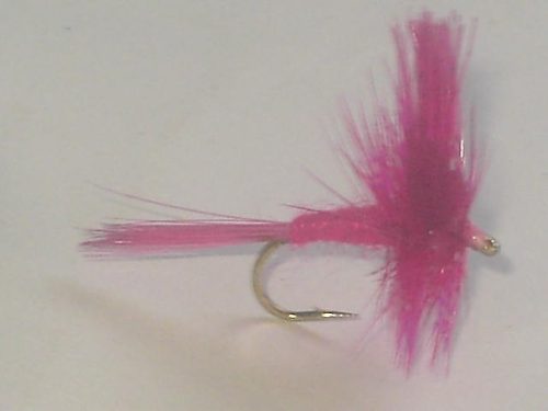 Pink cahill dry fly