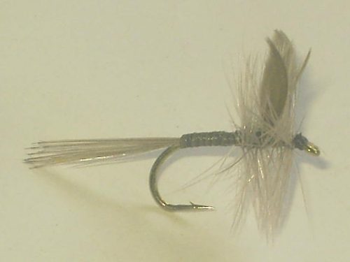 Gray Quill dry fly