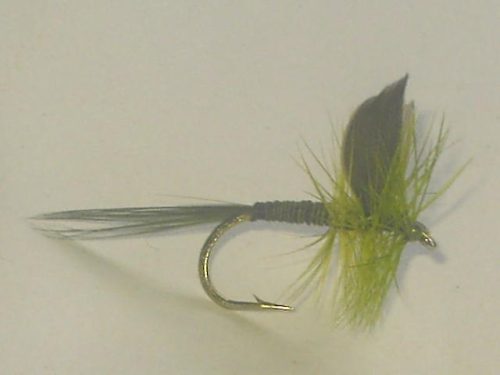 Olive Quill Dry Fly