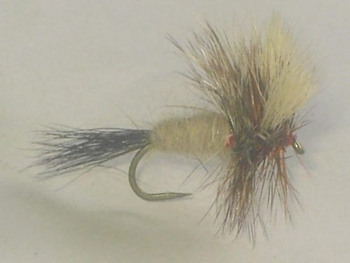 Ausable Wulff dry fly
