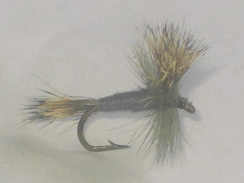 Grey Wulff fly