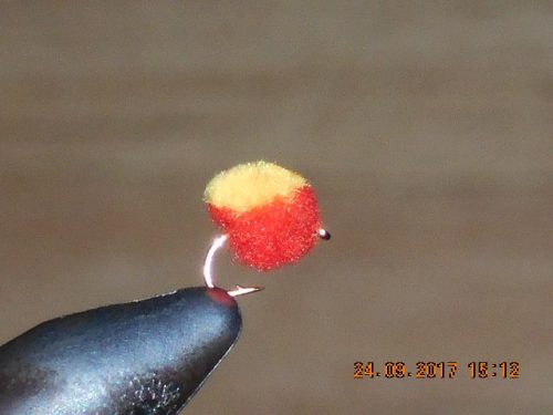 Red and Orange Egg Fly