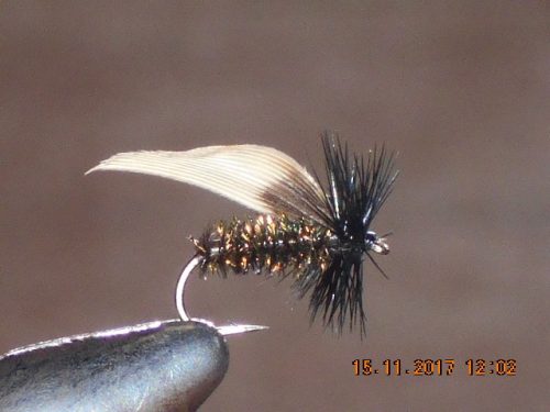 Alder dry fly