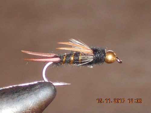 Bead head dark lord fly