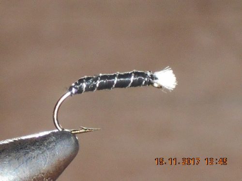 Buzzer Black Fly