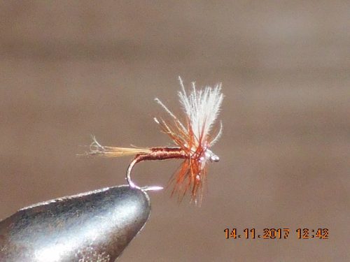 CDC Dry Fly pattern