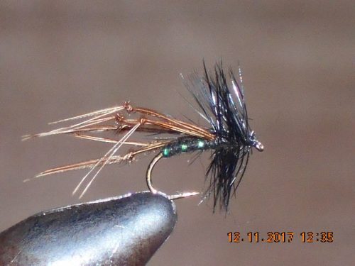 Black Hopper dry fly