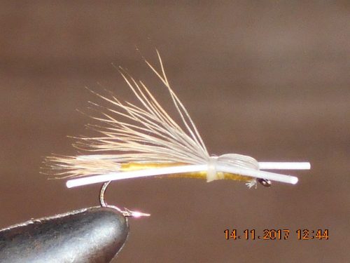Madam X fishing fly