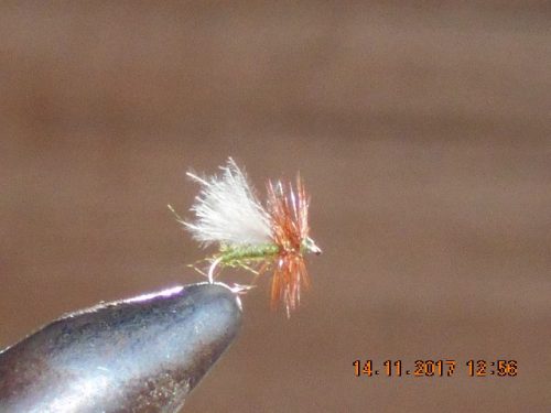 Midge fly 4