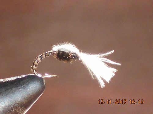 Mosquito emerger fly