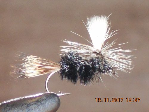 Black Parachute Emerger Caddis fly