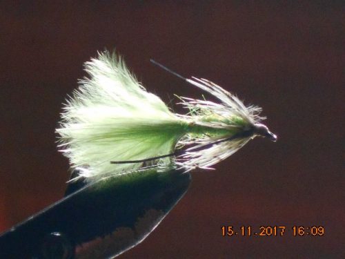 Partridge & green fly