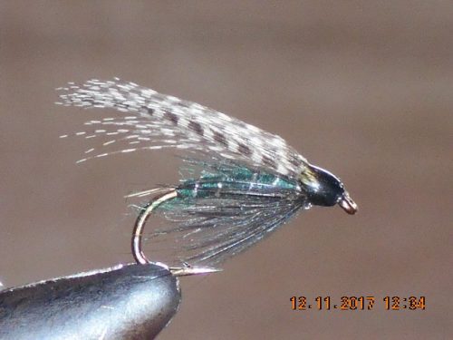Teal and blue wet fly
