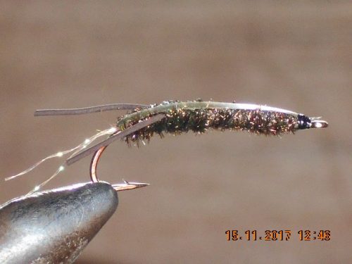 Water boatman fly