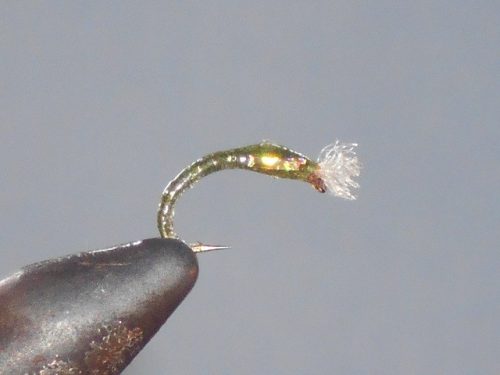 3D Glass Olive fishing fly