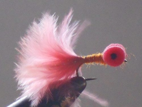 Booby fly orange