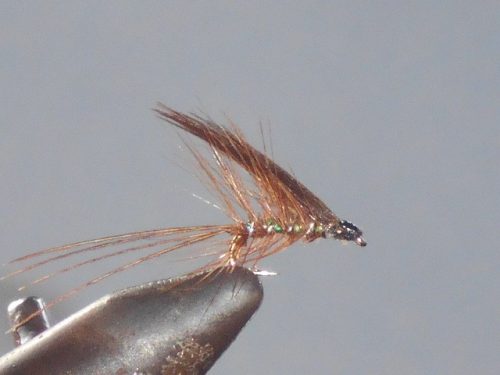 Pearl dubbler wet fly