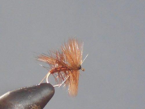 Fluttering sedge dry fly
