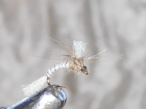 CDC Emergent Parachute Light flies
