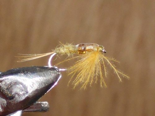 cdc glassbead olive fly