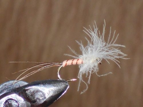 CDC La Vrille fly