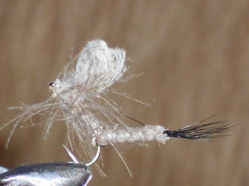 Cdc Mayfly Extended Body fishing fly