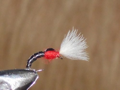 CDC Red Thorax fly pattern