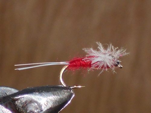 CDC Spinner Red fly pattern