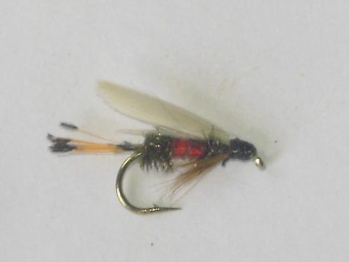 Royal coachman wet fly