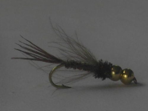 black Titanic Stonefly