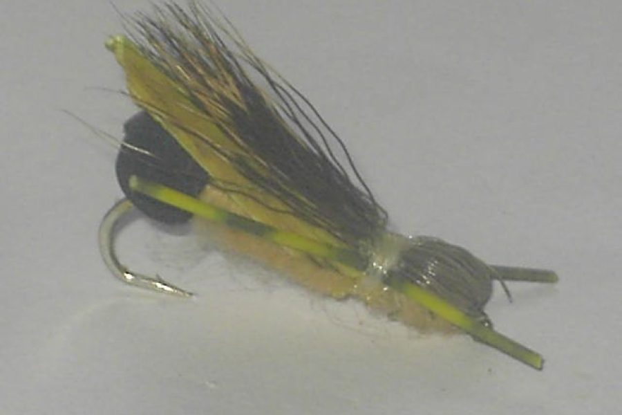 Adult foam stone tan fly
