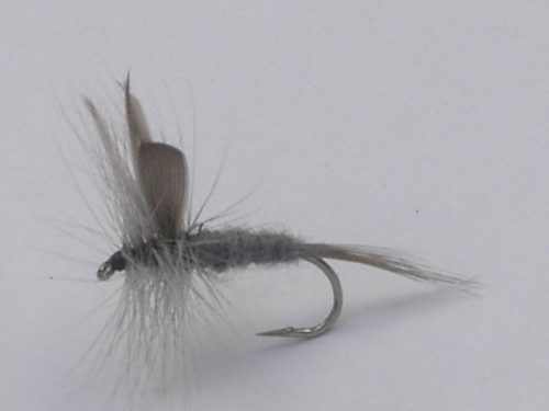 Blue Dun Dry Fly
