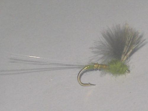 CDC Biot Comparadun BWO Fly's