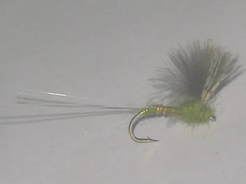 CDC Biot Comparadun BWO Fly's