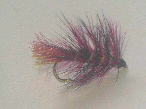 Clan chief fly
