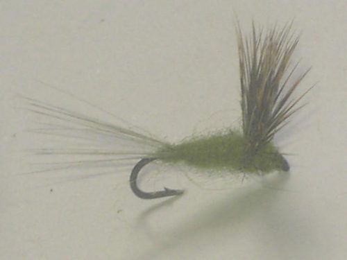Green Drake Comparadun fly