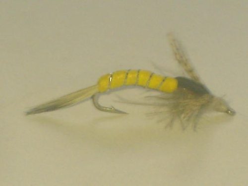 Yellow emergente de mai fly