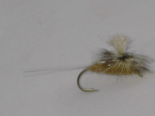 Para spinner callibaetis fly
