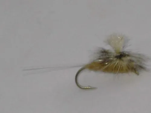 Para spinner callibaetis fly