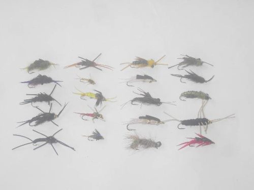 25 Assorted stoneflies