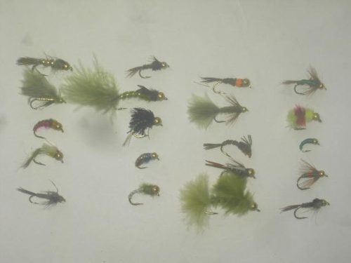 25 Assorted tungsten bead head fly fishing flies